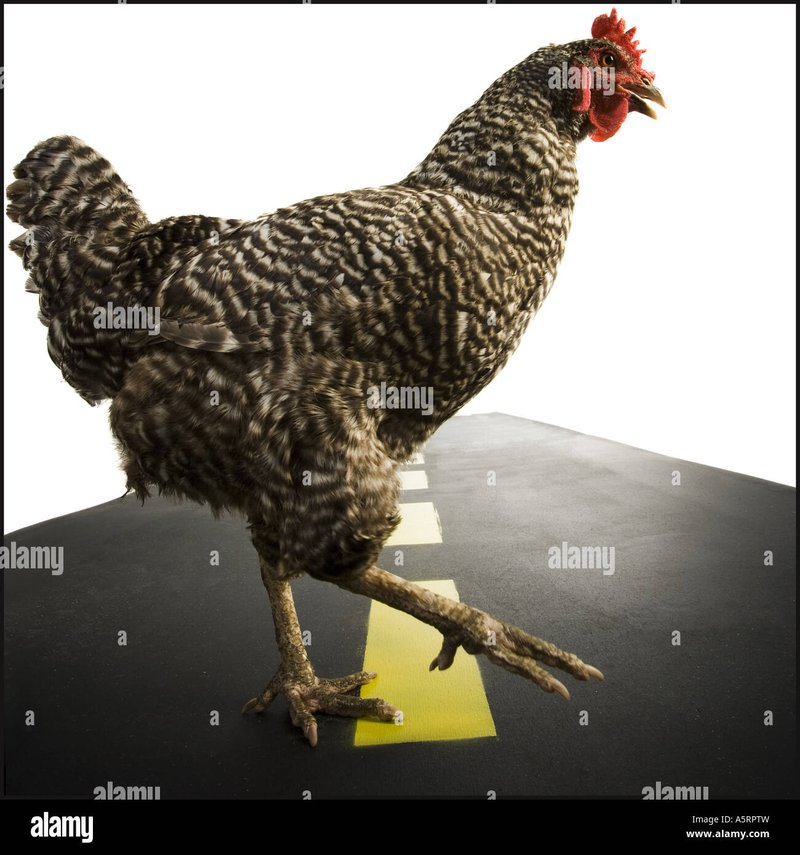 Descubre el Juego de Azar de